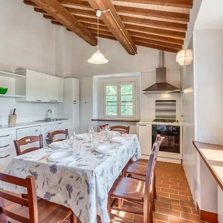 Brancorsi ساسيتا