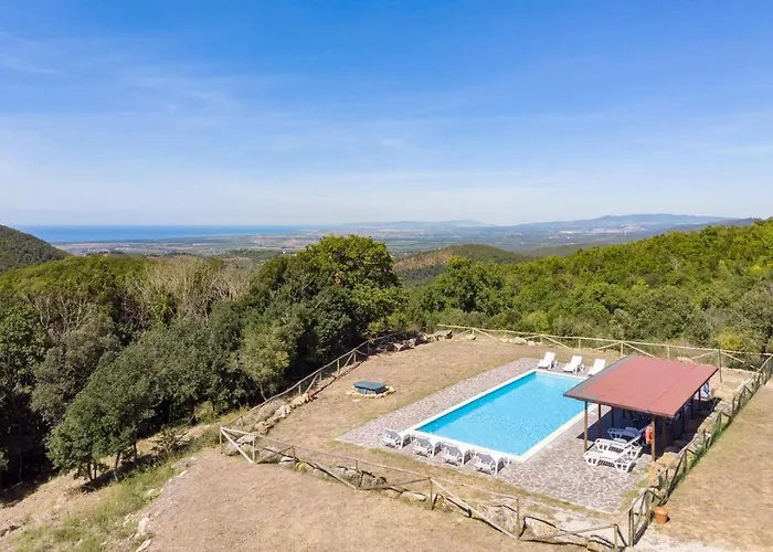 Brancorsi * サッセッタ