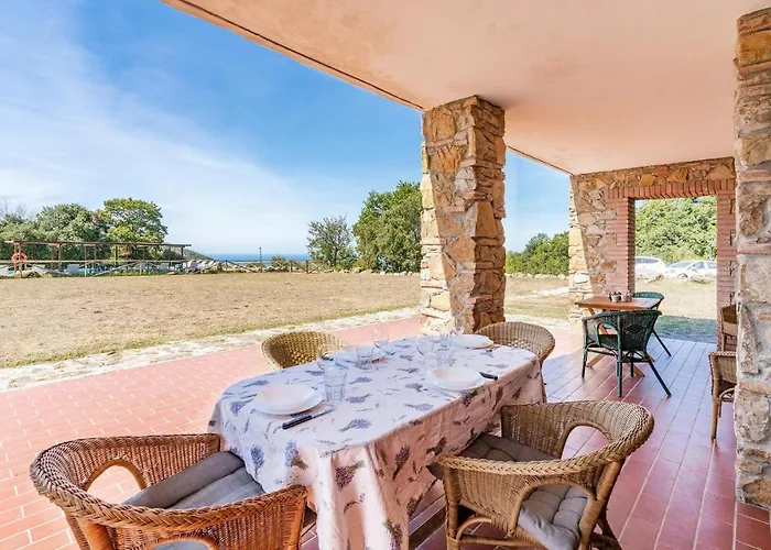 Brancorsi サッセッタ